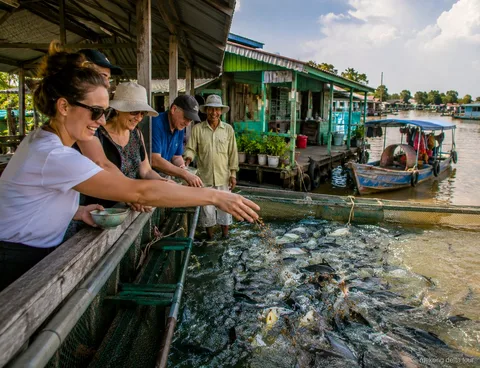Nourrissage des poissons dans une ferme piscicole flottante lors de l'excursion d'une journée dans le delta du Mékong